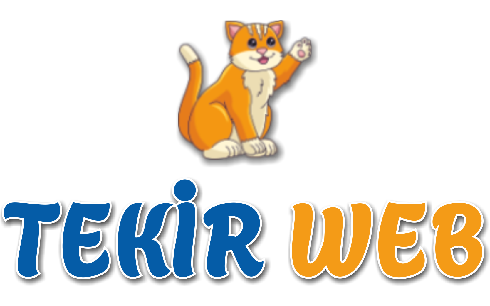 Tekir Web | Kurumsal Web Tasarım